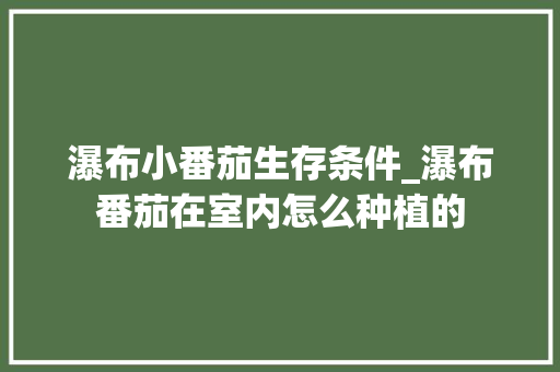 瀑布小番茄生存条件_瀑布番茄在室内怎么种植的