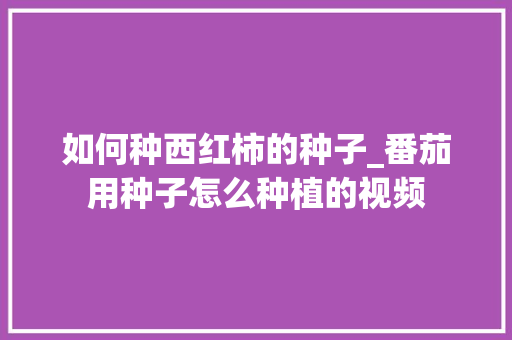 如何种西红柿的种子_番茄用种子怎么种植的视频 如何种西红柿的种子_番茄用种子怎么种植的视频 种植技巧
