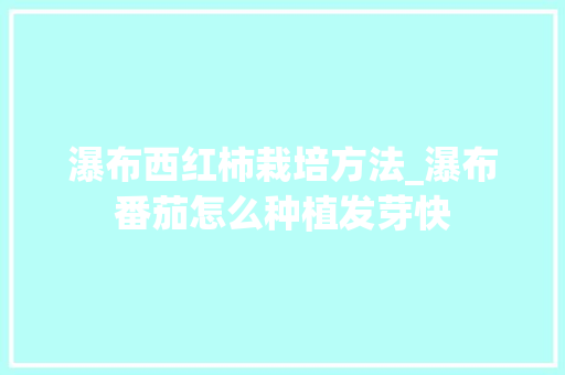 瀑布西红柿栽培方法_瀑布番茄怎么种植发芽快