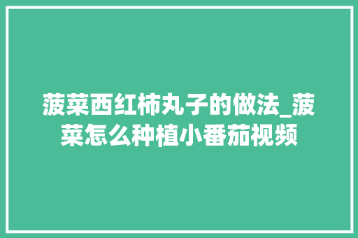 菠菜西红柿丸子的做法_菠菜怎么种植小番茄视频