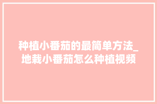 种植小番茄的最简单方法_地栽小番茄怎么种植视频 种植小番茄的最简单方法_地栽小番茄怎么种植视频 种植技巧