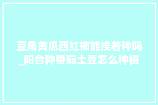 豆角黄瓜西红柿能挨着种吗_阳台种番茄土豆怎么种植视频 豆角黄瓜西红柿能挨着种吗_阳台种番茄土豆怎么种植视频 植物种类