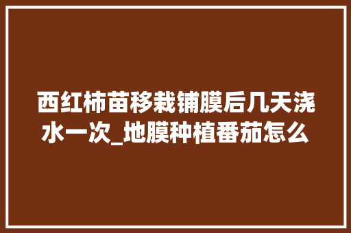 西红柿苗移栽铺膜后几天浇水一次_地膜种植番茄怎么追肥的