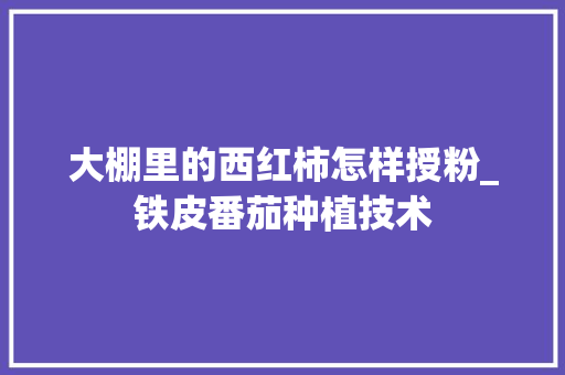 大棚里的西红柿怎样授粉_铁皮番茄种植技术 大棚里的西红柿怎样授粉_铁皮番茄种植技术 种植技巧