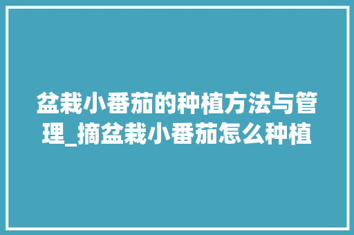 盆栽小番茄的种植方法与管理_摘盆栽小番茄怎么种植视频 盆栽小番茄的种植方法与管理_摘盆栽小番茄怎么种植视频 农业常识