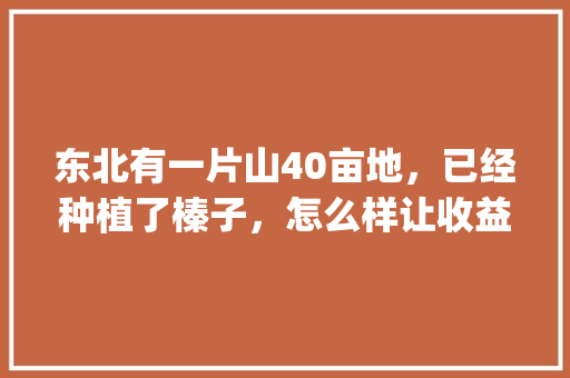 东北有一片山40亩地，已经种植了榛子，怎么样让收益最大化_醋栗小番茄怎么种植视频教程 东北有一片山40亩地，已经种植了榛子，怎么样让收益最大化_醋栗小番茄怎么种植视频教程 番茄种植技巧