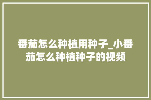 番茄怎么种植用种子_小番茄怎么种植种子的视频 番茄怎么种植用种子_小番茄怎么种植种子的视频 种植技巧