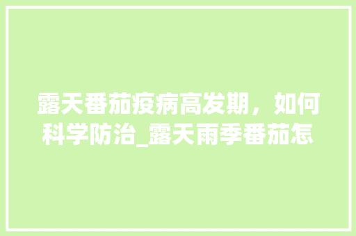 露天番茄疫病高发期，如何科学防治_露天雨季番茄怎么种植的呢