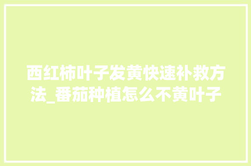 西红柿叶子发黄快速补救方法_番茄种植怎么不黄叶子呢 西红柿叶子发黄快速补救方法_番茄种植怎么不黄叶子呢 土壤施肥