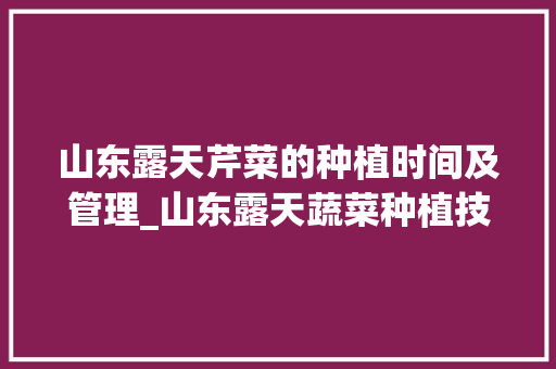山东露天芹菜的种植时间及管理_山东露天蔬菜种植技巧和方法