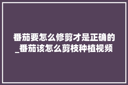 番茄要怎么修剪才是正确的_番茄该怎么剪枝种植视频 番茄要怎么修剪才是正确的_番茄该怎么剪枝种植视频 土壤施肥
