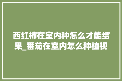 西红柿在室内种怎么才能结果_番茄在室内怎么种植视频 西红柿在室内种怎么才能结果_番茄在室内怎么种植视频 花朵知识