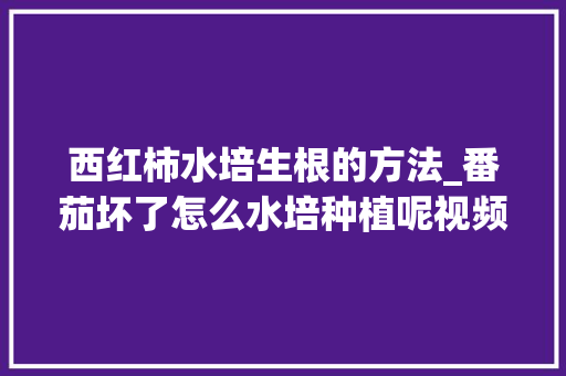 西红柿水培生根的方法_番茄坏了怎么水培种植呢视频 西红柿水培生根的方法_番茄坏了怎么水培种植呢视频 植物种类