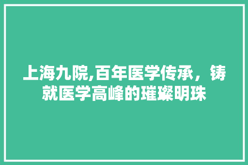 上海九院,百年医学传承，铸就医学高峰的璀璨明珠