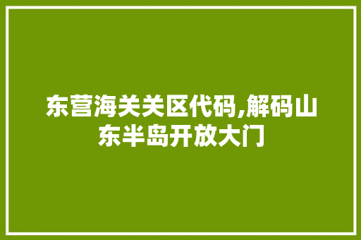 东营海关关区代码,解码山东半岛开放大门
