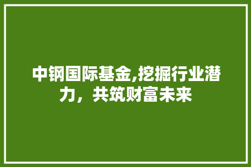中钢国际基金,挖掘行业潜力，共筑财富未来