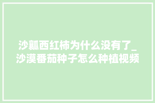 沙瓤西红柿为什么没有了_沙漠番茄种子怎么种植视频