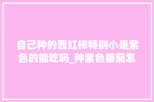 自己种的西红柿特别小是紫色的能吃吗_种紫色番茄怎么种植方法视频