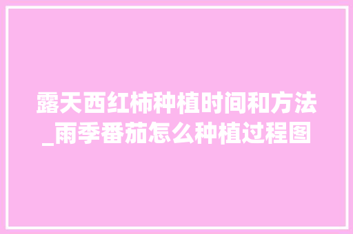 露天西红柿种植时间和方法_雨季番茄怎么种植过程图片 露天西红柿种植时间和方法_雨季番茄怎么种植过程图片 花朵知识