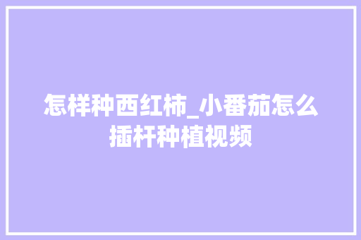 怎样种西红柿_小番茄怎么插杆种植视频