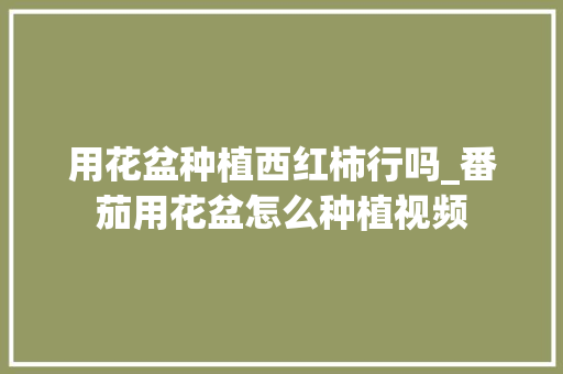 用花盆种植西红柿行吗_番茄用花盆怎么种植视频 用花盆种植西红柿行吗_番茄用花盆怎么种植视频 种植技巧