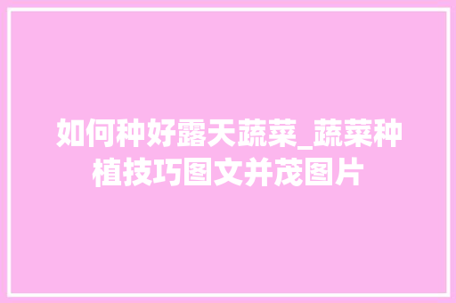 如何种好露天蔬菜_蔬菜种植技巧图文并茂图片 如何种好露天蔬菜_蔬菜种植技巧图文并茂图片 番茄种植技巧