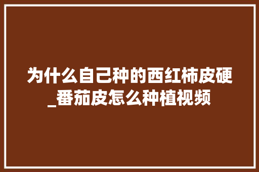 为什么自己种的西红柿皮硬_番茄皮怎么种植视频