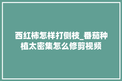 西红柿怎样打侧枝_番茄种植太密集怎么修剪视频 西红柿怎样打侧枝_番茄种植太密集怎么修剪视频 农业常识