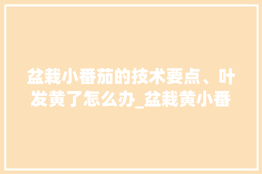 盆栽小番茄的技术要点、叶发黄了怎么办_盆栽黄小番茄怎么种植视频 盆栽小番茄的技术要点、叶发黄了怎么办_盆栽黄小番茄怎么种植视频 花朵知识