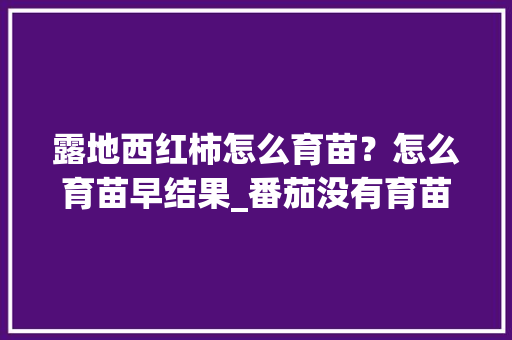 露地西红柿怎么育苗？怎么育苗早结果_番茄没有育苗怎么种植视频 露地西红柿怎么育苗？怎么育苗早结果_番茄没有育苗怎么种植视频 农业常识
