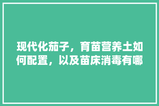 现代化茄子，育苗营养土如何配置，以及苗床消毒有哪些方法_种植番茄营养土怎么用的