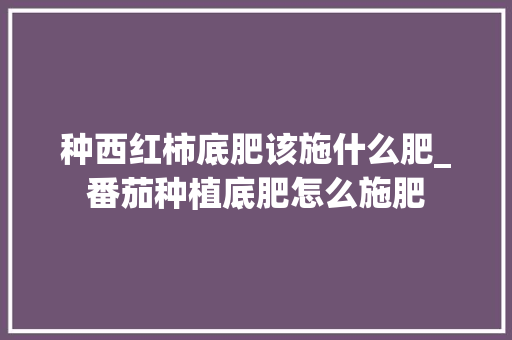 种西红柿底肥该施什么肥_番茄种植底肥怎么施肥 种西红柿底肥该施什么肥_番茄种植底肥怎么施肥 种植技巧
