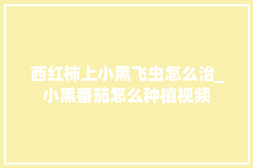 西红柿上小黑飞虫怎么治_小黑番茄怎么种植视频