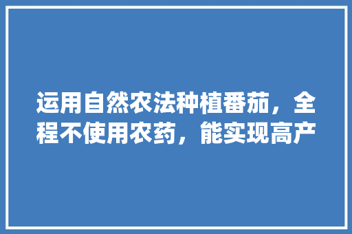 运用自然农法种植番茄，全程不使用农药，能实现高产高品质吗_干番茄怎么种植视频教学全集 运用自然农法种植番茄，全程不使用农药，能实现高产高品质吗_干番茄怎么种植视频教学全集 土壤施肥