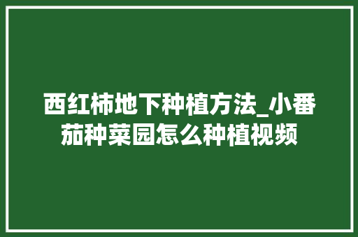 西红柿地下种植方法_小番茄种菜园怎么种植视频 西红柿地下种植方法_小番茄种菜园怎么种植视频 番茄种植技巧