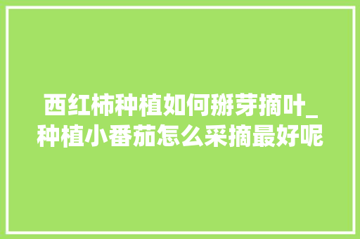 西红柿种植如何掰芽摘叶_种植小番茄怎么采摘最好呢 西红柿种植如何掰芽摘叶_种植小番茄怎么采摘最好呢 植物种类