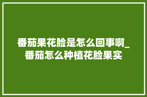 番茄果花脸是怎么回事啊_番茄怎么种植花脸果实