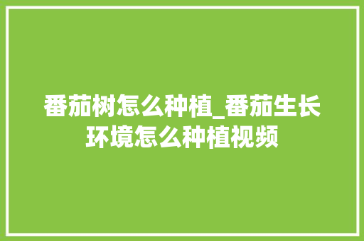 番茄树怎么种植_番茄生长环境怎么种植视频 番茄树怎么种植_番茄生长环境怎么种植视频 花朵知识
