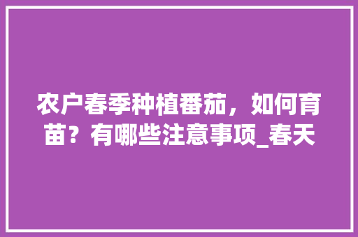 农户春季种植番茄，如何育苗？有哪些注意事项_春天怎么种植番茄苗呢