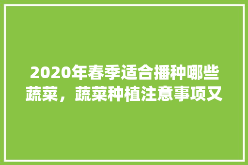 2020年春季适合播种哪些蔬菜，蔬菜种植注意事项又有哪些呢_蔬菜种植小技巧素材视频大全 2020年春季适合播种哪些蔬菜，蔬菜种植注意事项又有哪些呢_蔬菜种植小技巧素材视频大全 农业常识