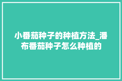 小番茄种子的种植方法_潘布番茄种子怎么种植的 小番茄种子的种植方法_潘布番茄种子怎么种植的 花朵知识