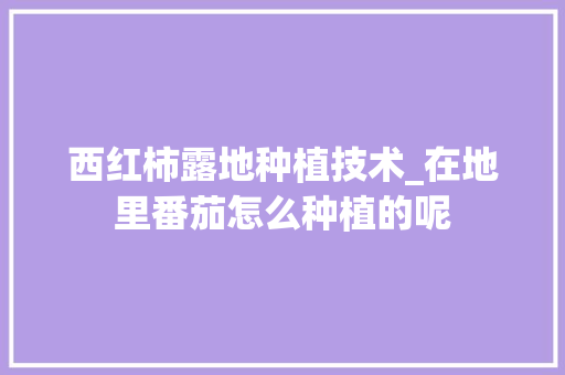 西红柿露地种植技术_在地里番茄怎么种植的呢 西红柿露地种植技术_在地里番茄怎么种植的呢 土壤施肥