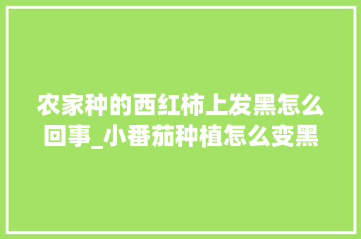 农家种的西红柿上发黑怎么回事_小番茄种植怎么变黑了 农家种的西红柿上发黑怎么回事_小番茄种植怎么变黑了 种植技巧
