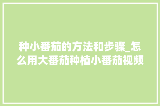 种小番茄的方法和步骤_怎么用大番茄种植小番茄视频 种小番茄的方法和步骤_怎么用大番茄种植小番茄视频 番茄病虫害防治