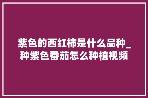 紫色的西红柿是什么品种_种紫色番茄怎么种植视频