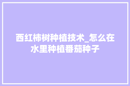 西红柿树种植技术_怎么在水里种植番茄种子 西红柿树种植技术_怎么在水里种植番茄种子 植物种类