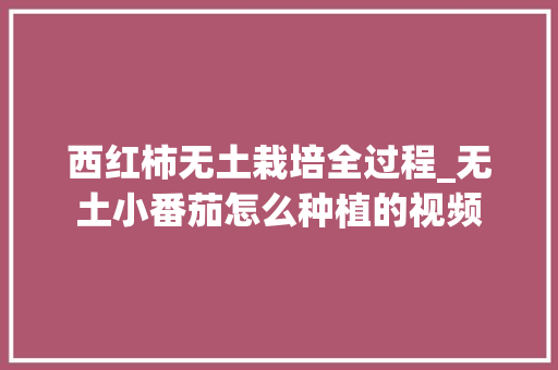 西红柿无土栽培全过程_无土小番茄怎么种植的视频