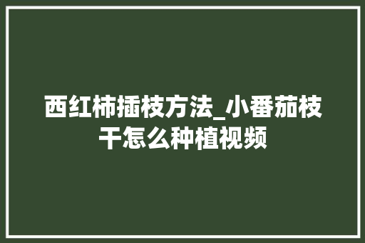 西红柿插枝方法_小番茄枝干怎么种植视频 西红柿插枝方法_小番茄枝干怎么种植视频 番茄病虫害防治