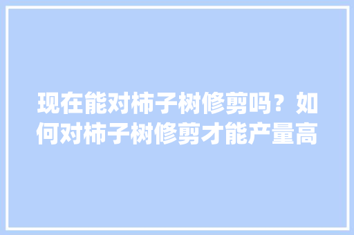 现在能对柿子树修剪吗？如何对柿子树修剪才能产量高_大番茄种植怎么修剪视频教程 现在能对柿子树修剪吗？如何对柿子树修剪才能产量高_大番茄种植怎么修剪视频教程 植物种类