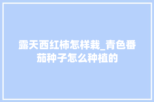 露天西红柿怎样栽_青色番茄种子怎么种植的 露天西红柿怎样栽_青色番茄种子怎么种植的 番茄病虫害防治